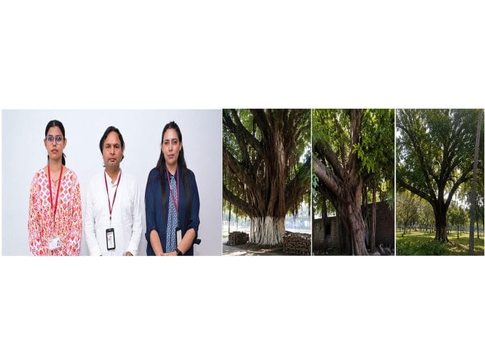 Chandigarh University Launches Heritage Tree Conservation Project to Digitally Map and Preserve Centuries-Old Heritage Trees in Mohali