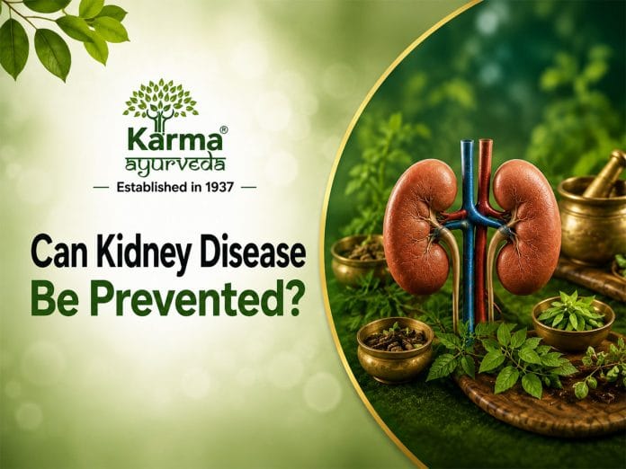 Can Kidney Disease Be Prevented? Ayurvedic Tips for Lifelong Kidney Health