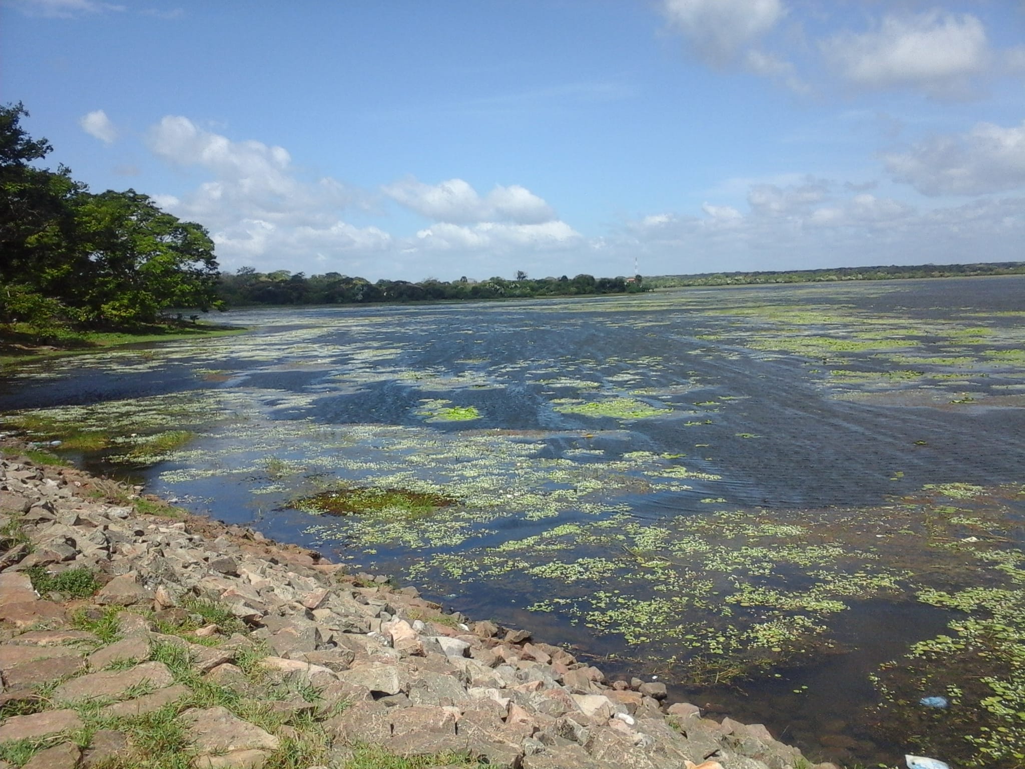 Abhaya Wewa (tank) is said to have been constructed around c 437 BCE. It marked the dawn of Sri Lanka’s hydraulic civilisation | Wikimedia Commons