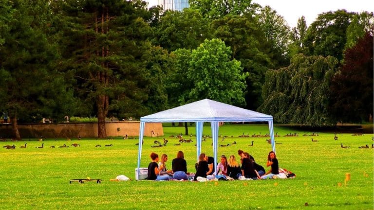 Women and men make friends differently at work, study finds