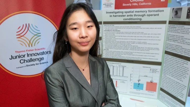 US teen wins prestigious STEM award. She was studying ant memory