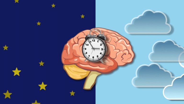 Close the fridge door! Late-night snacks might be sabotaging your brain power