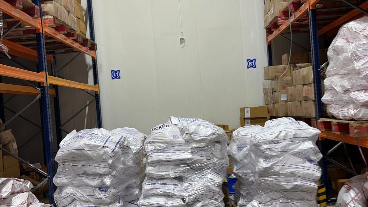 Samples collected from the warehouse of a food services company in Bengaluru on 8 August 2026 | By special arrangement