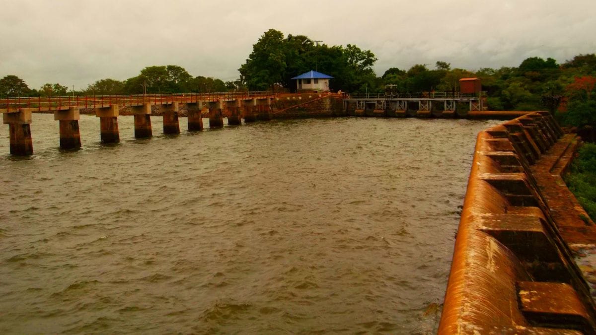 Nachchaduwa Wewa, is considered to be one of the 16 large reservoirs built by King Mahasen | Wikimedia Commons