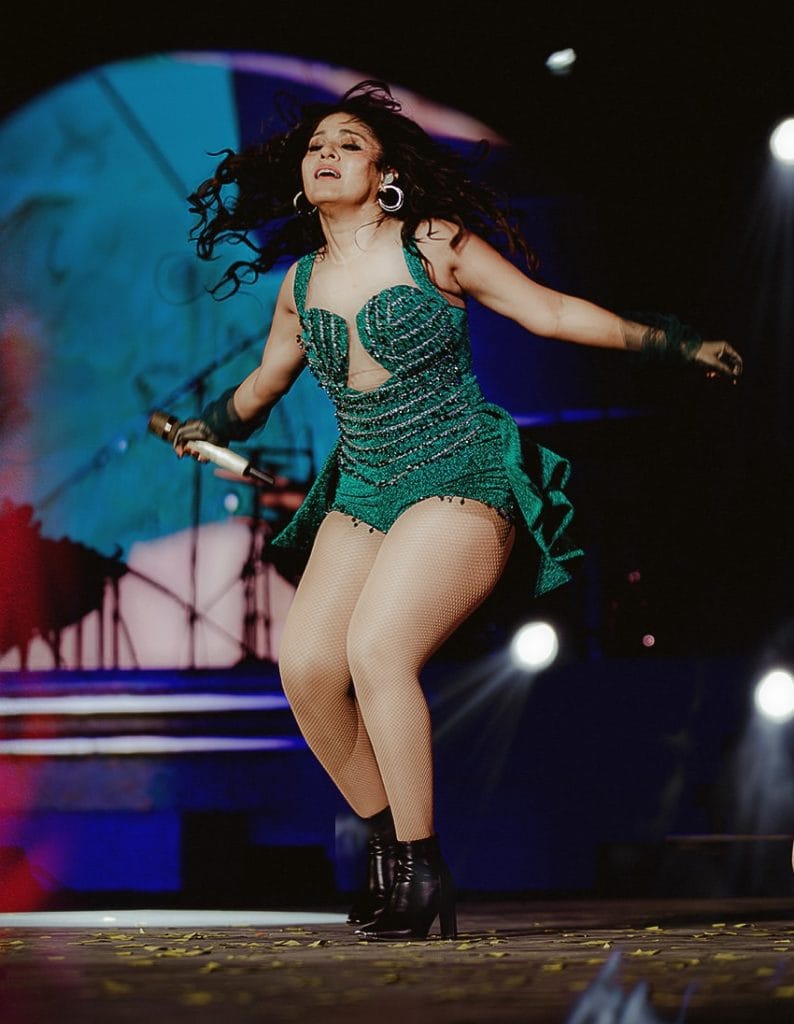 सुनिधि चौहान अपने I Am Home इंडिया टूर के दौरान | फोटो: इंस्टाग्राम/@sunidhichauhan5