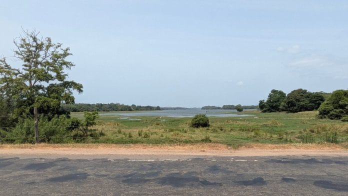 A lake in Polonnaruwa, Sri Lanka | Photo: Disha Ahluwalia | ThePrint