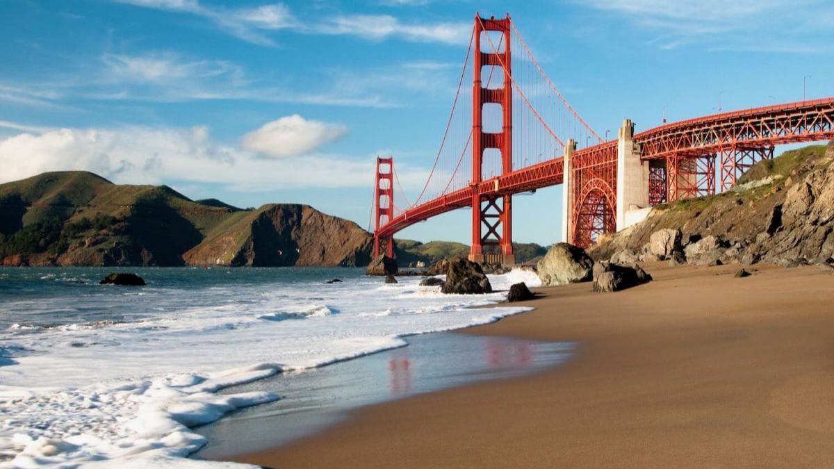 Rare snakes, sharks show up on California shores. ‘Super El Niño’ drives marine life north