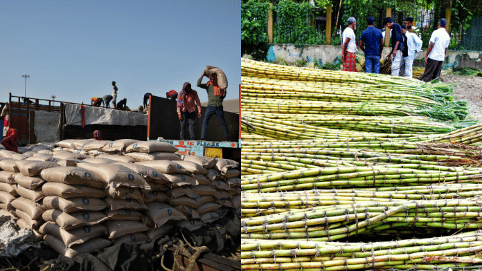 Diseases such as Red Rot & Top Borer along with waterlogging from excess rainfall have hit cane yields in key producing states. | Reuters/PTI