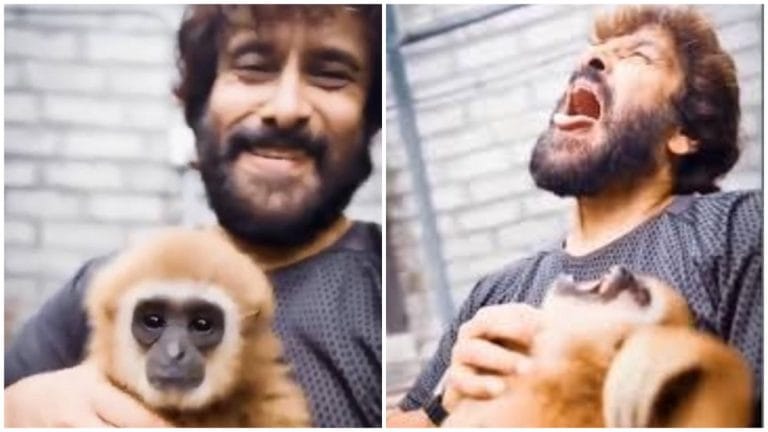 India’s exotic pet trade has outrun the law. Actor Vikram’s gibbon video is the tip of it