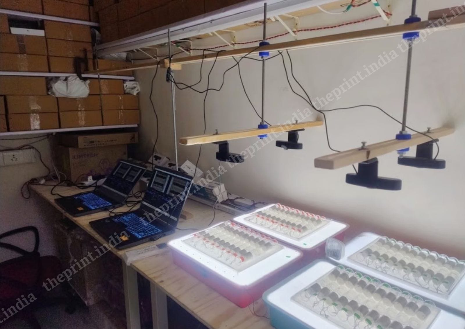 Physical and computational worlds collide at experimental biologist Anish Koner’s workspace at IISER Pune | By special arrangement