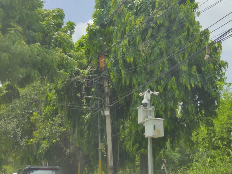RWA द्वारा लगाए गए CCTV कैमरे सैनिक फार्म लेन पर नज़र रखते हैं | फोटो: अलमिना खातून/दिप्रिंट