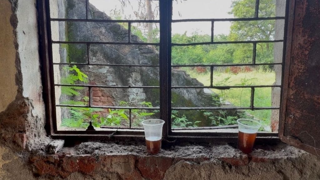 Kanganheri’s community centre building is as old as the hospital plot. A view of the wild vegetation from the community centre window. Saman Husain | ThePrint