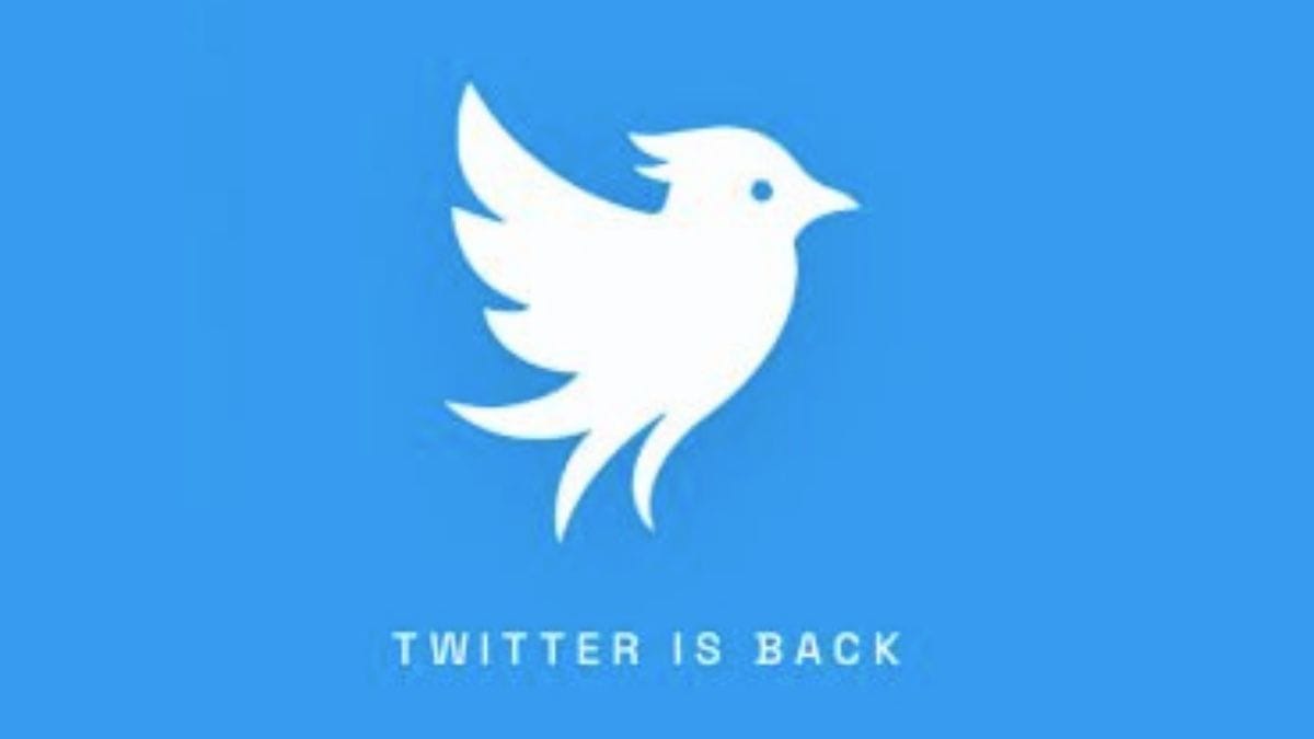‘Get over your X, the bird is back.’ Virginia startup creates Twitter.now