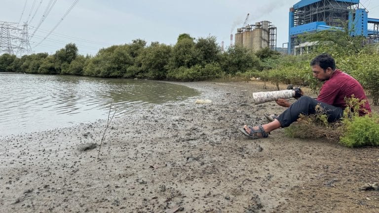 Two Chennai techies are studying local fish. Their photo guide on forgotten species is here