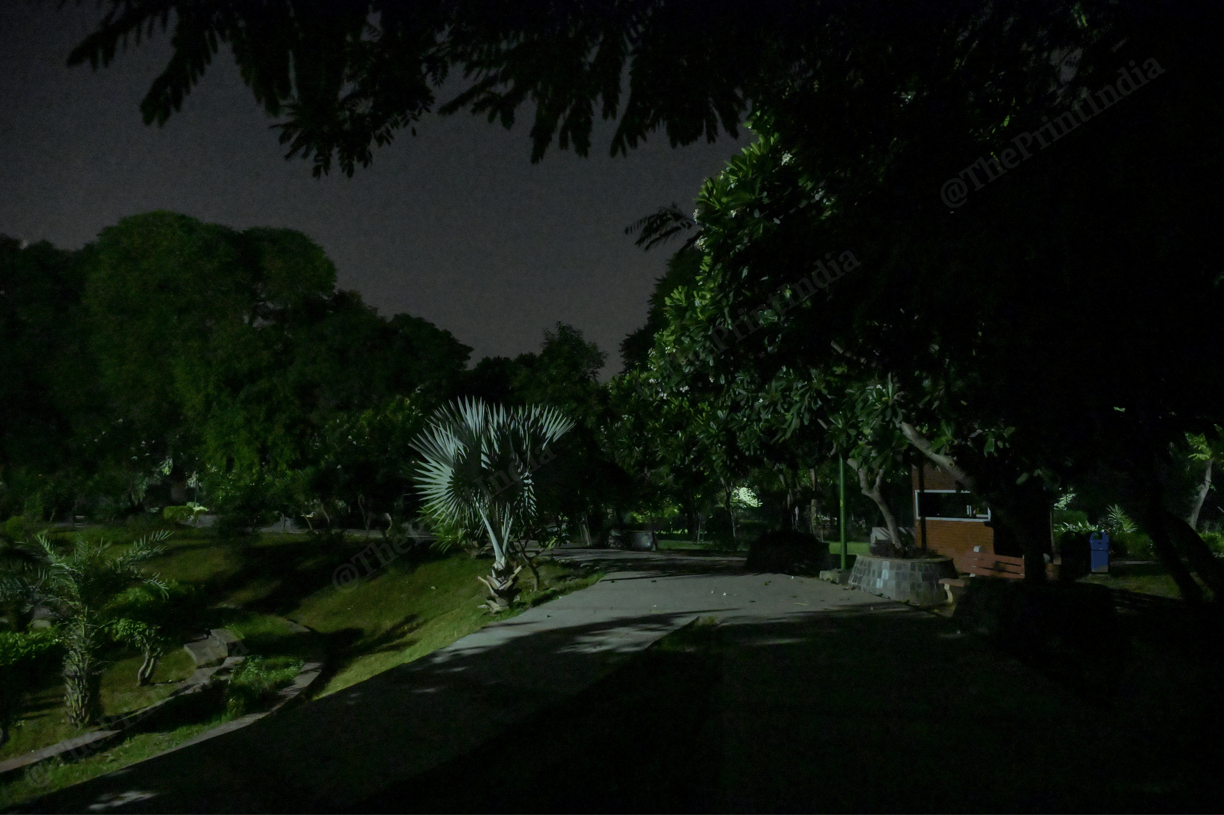 'This park has notorious reputation. Nobody who cares for their life enters the premises, even during day time,' says Prashant Soni, while on a night jog around Nehru Place metro station. He says the fear of a 'mishap' limits his walking or jogging route just to the concrete roads in the area | Suraj Singh Bisht