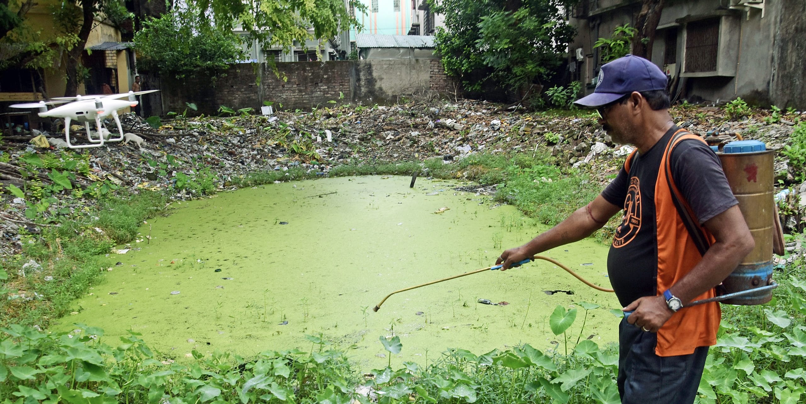 File photo. | Kolkata Municipal health worker sprays mosquito-killing liquid during a special drive. | ANI