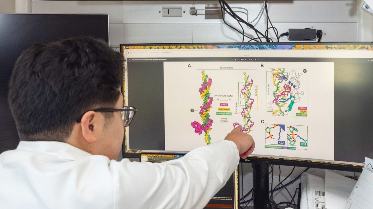 在 CRISPR 之前,有 VIPR。它可能是一种新的基因编辑工具 在 CRISPR 之前,有 VIPR。它可能是一种新的基因编辑工具