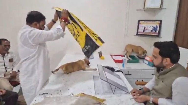 Puppies stuffed in sacks, brought to Nashik Panchayat office. Stray dogs were the issue