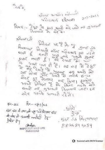 The wildlife department submitted an application to the vet to conduct the goat's post-mortem | special arrangement