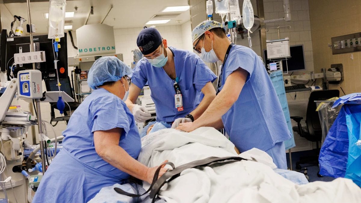 Patient Survives Nine Months With Genetically Engineered Pig Kidney