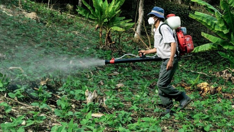 Pesticides have 485 chemicals. Some could increase breast cancer risk