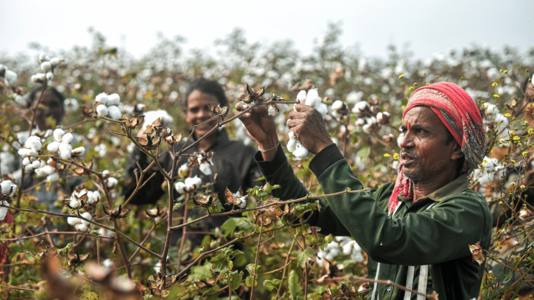 Tiruppur’s success runs on cheap cotton. India needs to ask who pays for it