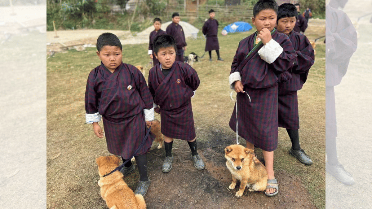 WHO Confirms Bhutan First South-East Asian Rabies-Free Nation