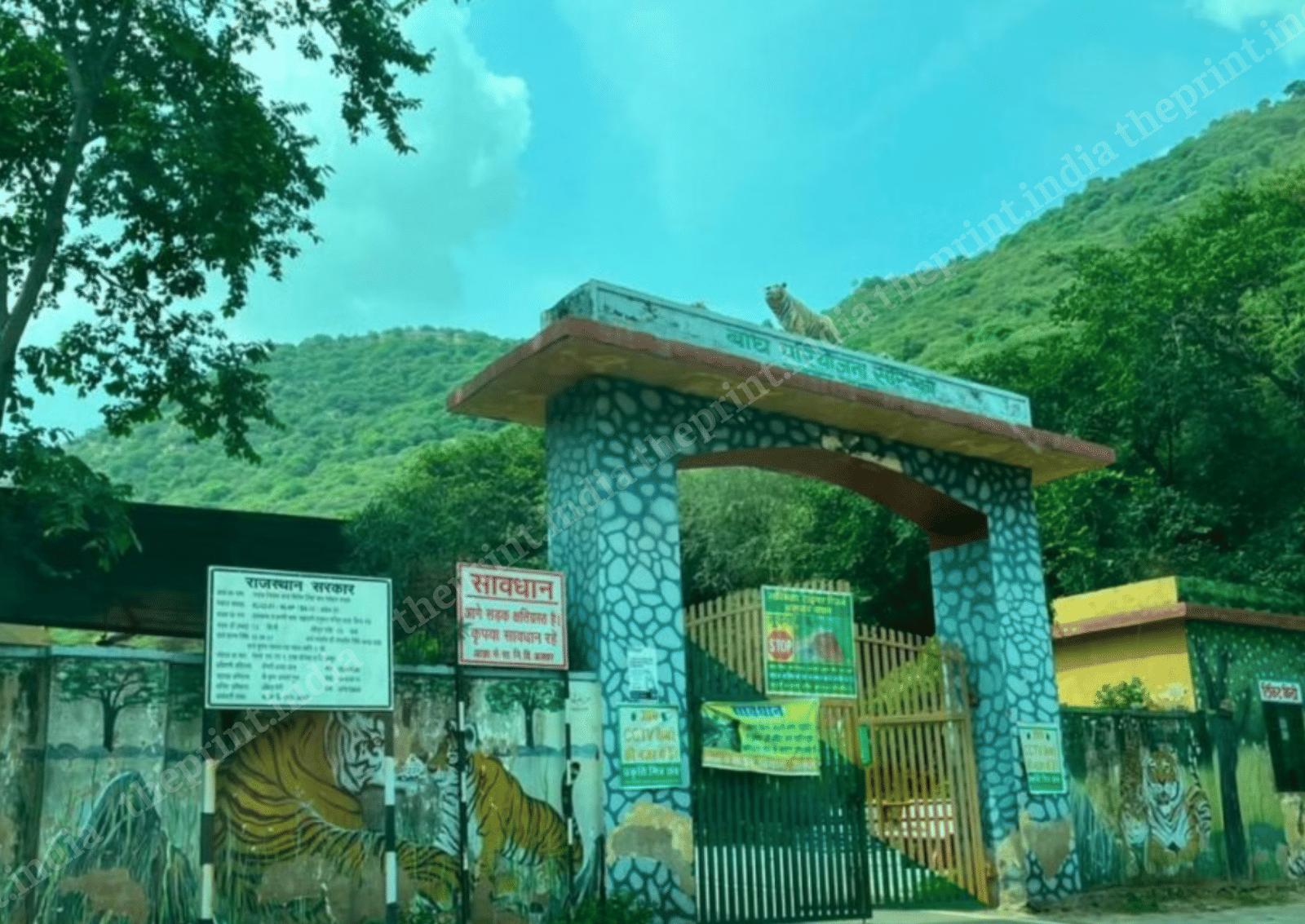 One of the entry gates to Sariska Tiger Reserve, where ST-15 once ruled as the dominant male | Saptak Datta/ThePrint