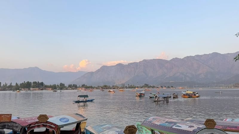 डल लेक, जहां हिंदी फिल्मों के कई मशहूर सीन शूट किए गए हैं | फोटो: त्रिया गुलाटी/दिप्रिंट
