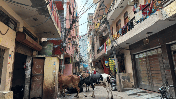Satya Niketan is not the only one. This is a cramped street in Gurmandi, close to North Campus, where multiple PGs are located at cheap rates | Samridhi Tewari | ThePrint