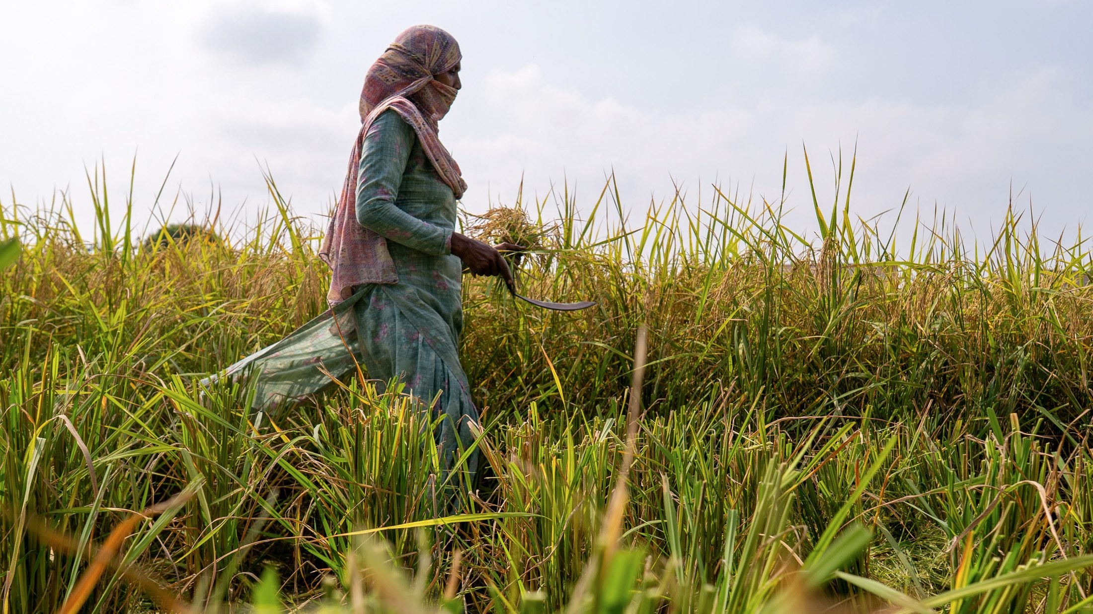 From farmers to shopowners, India counts the cost of a brutal monsoon, weakest since 2015