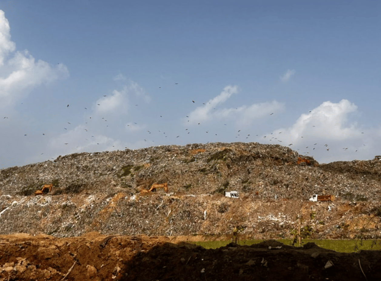 A glimmer of green at the foot of Delhi’s Okhla landfill after a drive to clear the three main landfills: Okhla, Bhalswa and Ghazipur | Manisha Mondal/ThePrint
