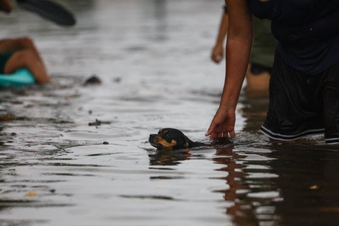 Mexico’s Sheinbaum urges coastal residents to remain indoors as Hurricane Simon nears coast