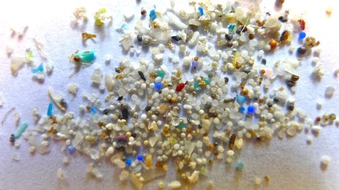 Representational image | Microplastics seen under a microscope | Oregon State University via Wikimedia Commons