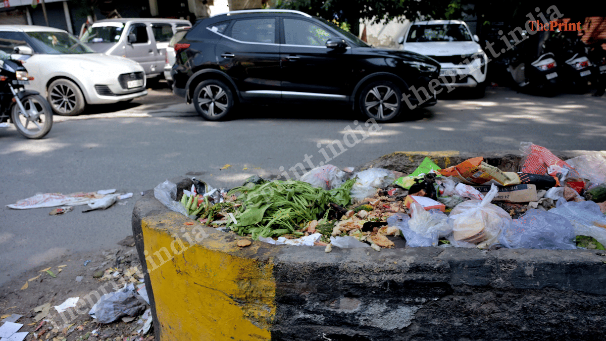 Garbage accumulating on a road divider in Nehru Enclave, New Delhi | Suraj Singh Bisht/ThePrint