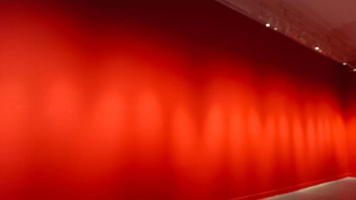 The walls at 'No Idea is Final' are now mostly empty after 75 out of 105 photographs were taken down. Almina Khatoon | ThePrint