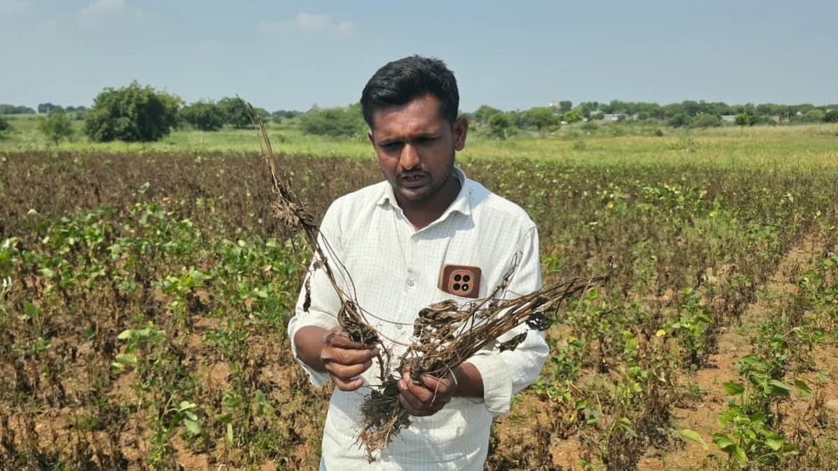 Marathwada got El Niño warnings in March. Few prepared—now taps are dry, fields dead