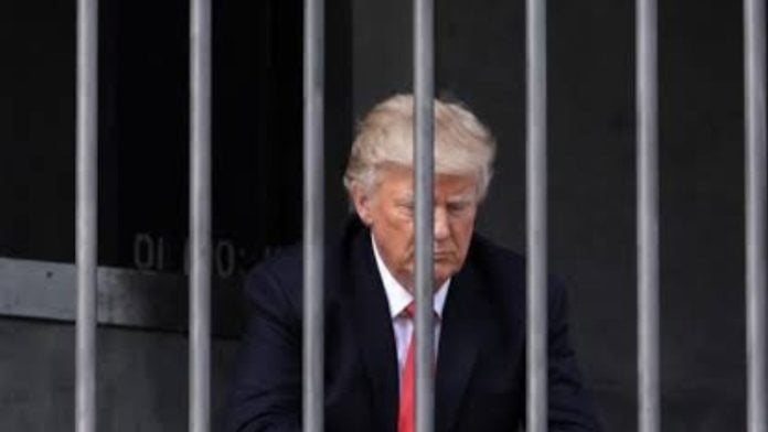 Donald Trump impersonator in a mock art installation | x