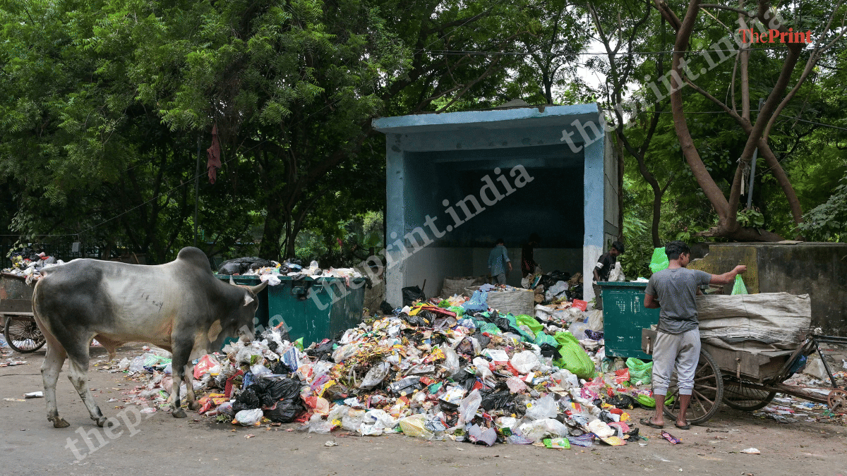 A garbage collection point (dhalao) in Vasant Kunj, New Delhi | Suraj Singh Bisht/ThePrint