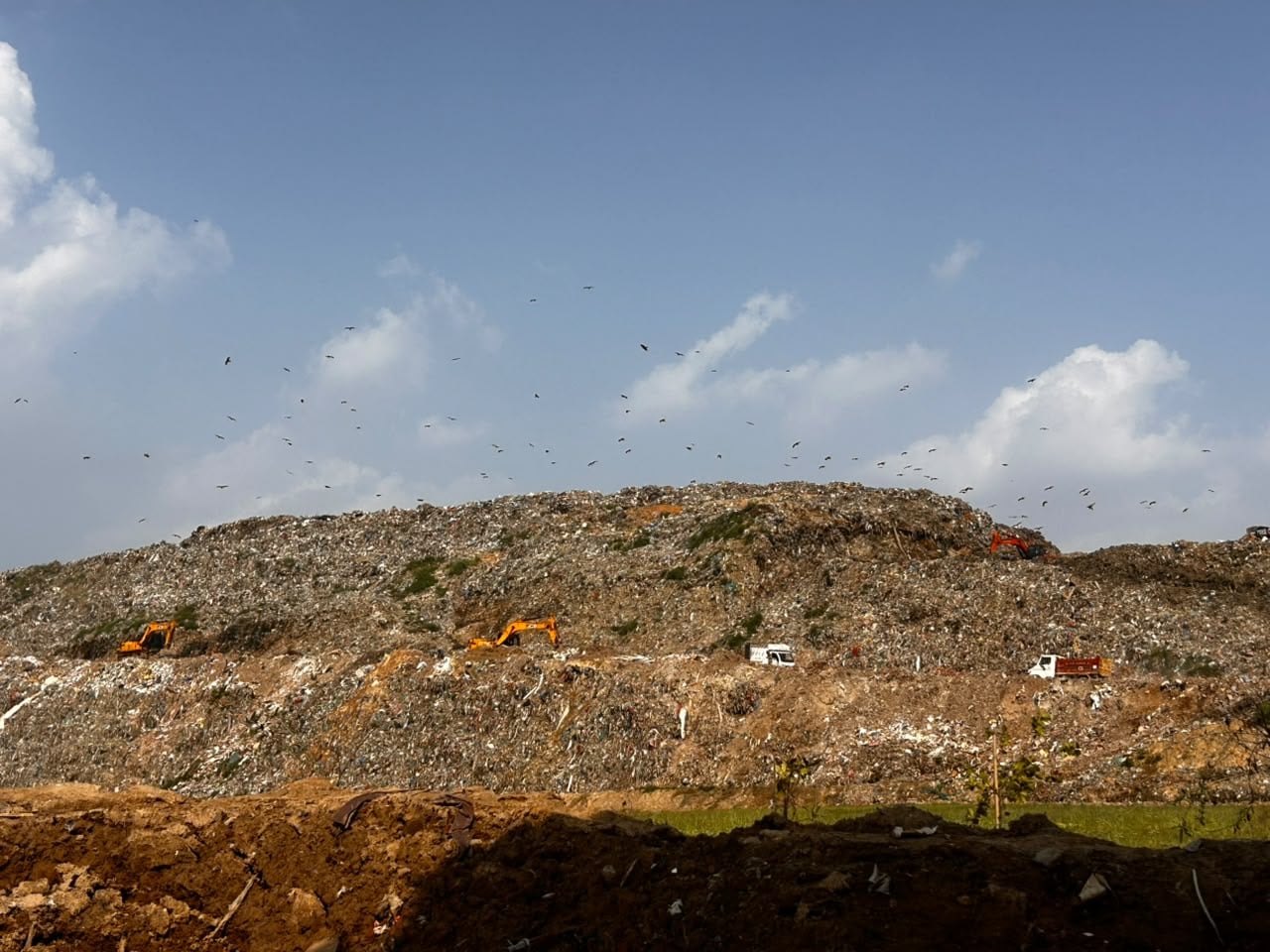 A glimmer of green at the foot of the Okhla landfill | Manisha Mondal/ThePrint