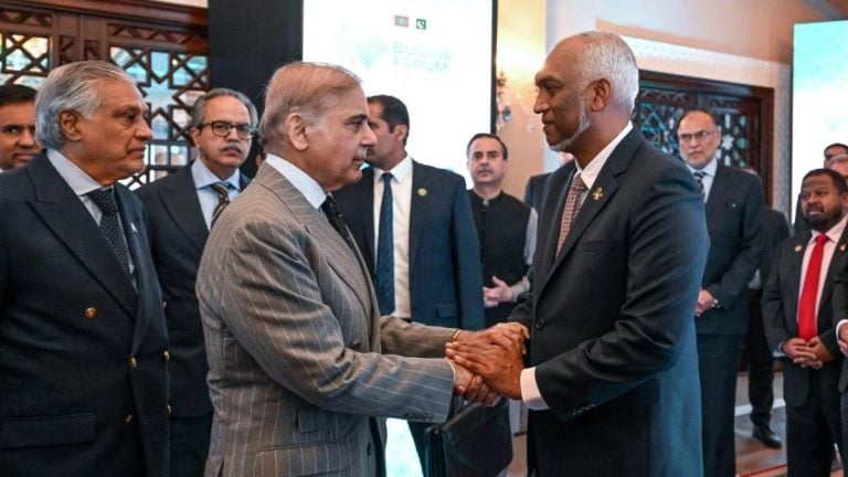 Maldives and Pakistan have set ambitious targets that raise questions
