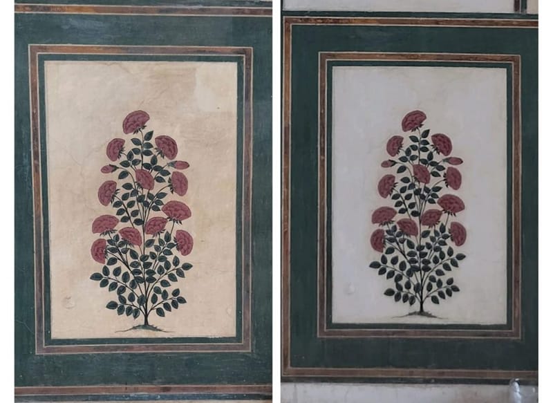 सफाई के टेस्ट से आमेर किले में फूलों वाले भित्ति चित्र के असली रंगों का पता चला | फोटो: स्पेशल अरेंजमेंट