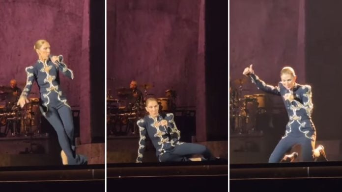 Celine Dion onstage during a Paris concert, 7 October | Instagram/@garyfrancq