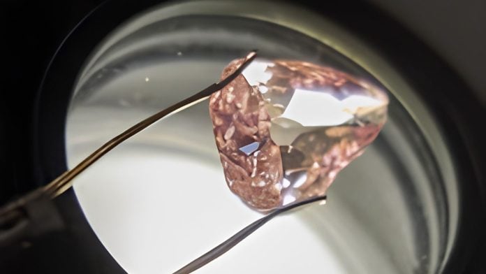 The pink diamond | Instagram