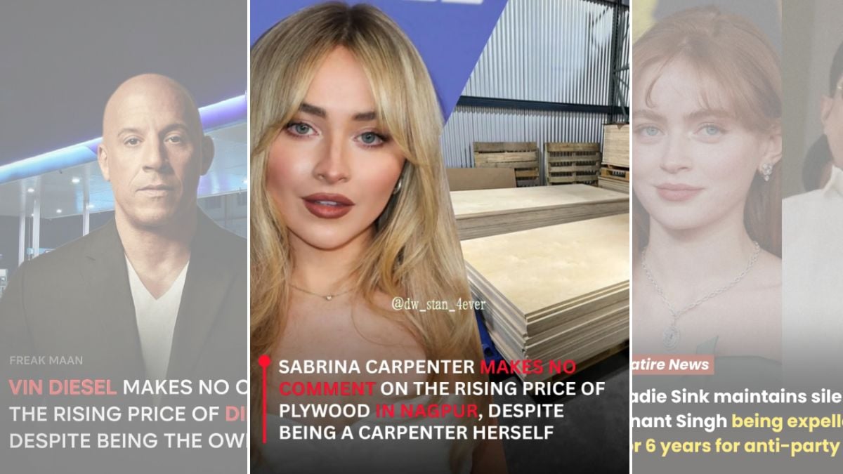 Why is Sabrina Carpenter silent on Nagpur’s plywood inflation? Desi Instagram wants to know