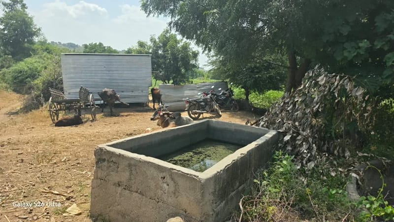 जालना जिले के कंदारी गांव में पानी से भरी एक नाली, जिसमें पानी ठहरा हुआ है. पानी की इतनी कमी है कि लोग कुएं के मालिकों से 100 रुपये प्रति बाल्टी के हिसाब से पानी खरीद रहे हैं | फोटो: सौम्या पिल्लई/दिप्रिंट
